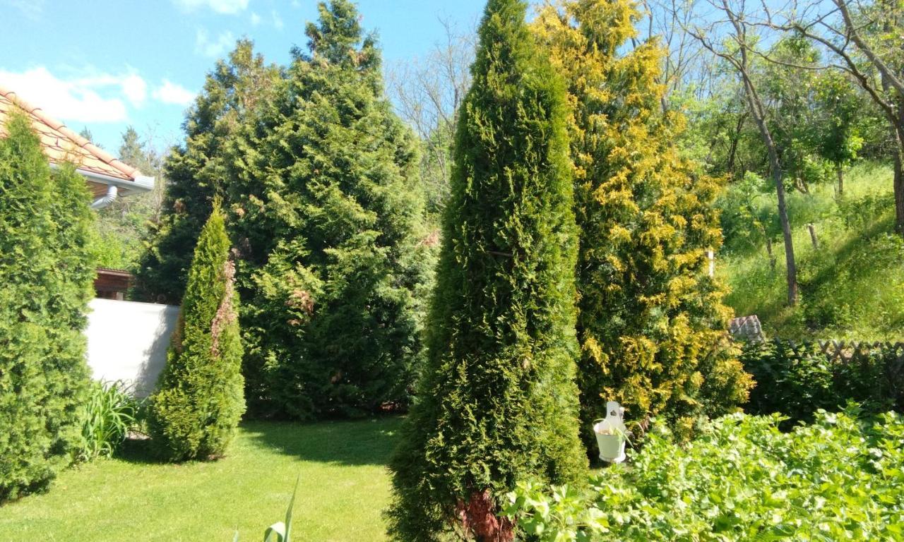 Apartament Harmony Vendeghaz Egerszalók Zewnętrze zdjęcie
